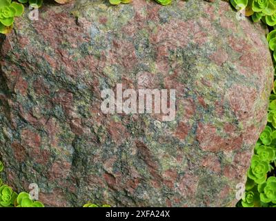 Foto di una superficie di granito rossastro di un masso, adatta per l'uso come texture o sfondo. Il dettaglio in pietra naturale aggiunge un'estetica robusta e terrosa Foto Stock
