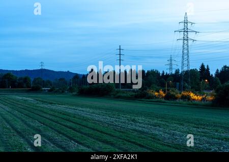 Montanti ad alta tensione con il cablaggio corrispondente di notte dietro un campo. Alcune luci gialle visibili Foto Stock