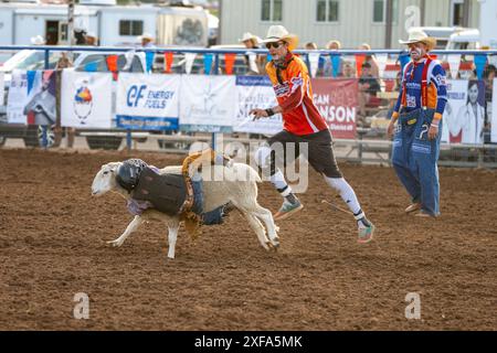 Un giovane cowboy si aggrappa sulle pecore durante un rodeo nello Utah. Un clown da rodeo corre dietro. Foto Stock