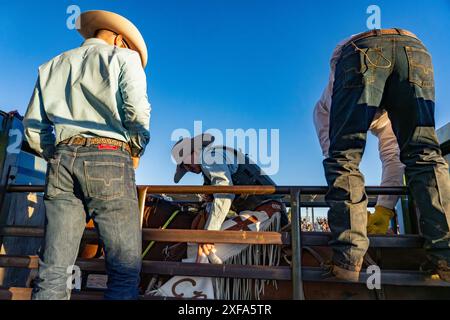 Un cowboy bronc in pelle si siede sul cavallo in sella a un rodeo nello Utah rurale. Foto Stock