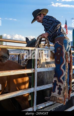 Un cowboy bronc in sella Logan Nunn mette la sua stecca e la sua strega sul cavallo da corsa nello scivolo in un rodeo nella campagna dello Utah. Foto Stock