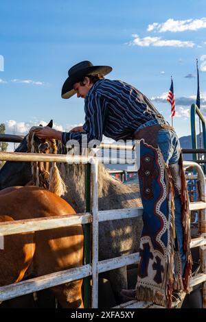 Un cowboy bronc in sella Logan Nunn mette la sua stecca e la sua strega sul cavallo da corsa nello scivolo in un rodeo nella campagna dello Utah. Foto Stock