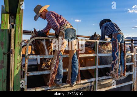 Sella a cowboy bronchi in pulcini di pelle, metti la spina e la molla bronchi sui cavalli da corsa nello scivolo in un rodeo nello Utah rurale. Logan Nunn è sulla destra Foto Stock