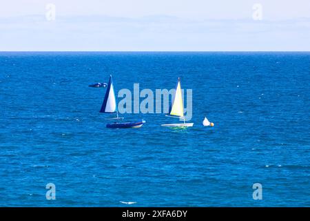 Un gruppo di barche a vela sta navigando nell'oceano. Le barche a vela sono di colori diversi Foto Stock