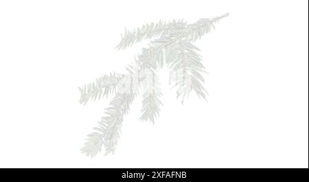 I rami dell'albero sono ombreggiati con sfondo bianco. Illustrazione Vettoriale