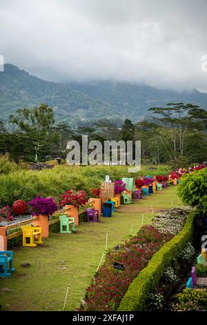 Veduta di un giardino colorato e del paesaggio oltre con il vulcano Baru, Boquete, una piccola città di montagna nella provincia di Chiriquí, Panama Foto Stock