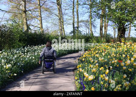 Una giovane donna su una sedia a rotelle cammina nel parco in primavera. Foto Stock