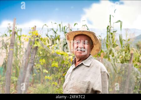 felice agricoltore anziano sul campo. vecchio con cappello sorridente davanti al raccolto di mais Foto Stock