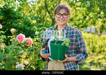 Donna con talee di rose, radicamento, coltivazione di nuove piante da talee Foto Stock