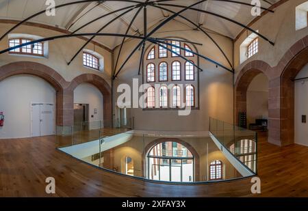 Selestat, Francia - 06 25 2024: Biblioteca umanista. Vista della flor di abete della Libreria Foto Stock