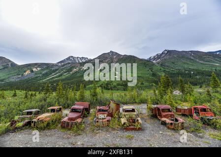 Vecchi camion d'epoca arrugginiti annidati nella natura selvaggia con lo sfondo delle montagne in estate e il tramonto. Preso nel territorio dello Yukon, Canada. Foto Stock