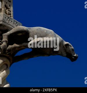 Cane di marmo all'angolo di una chiesa gotica pisana, la Chiesa di Santa Maria della spina, fondata nel 1230, a Pisa, Toscana, Italia. Foto Stock