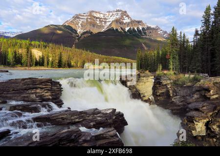 Geografia / viaggi, Canada, Alberta, Jasper National Park, Athabasca Falls, ULTERIORI-DIRITTI-AUTORIZZAZIONE-INFORMAZIONI-NON-DISPONIBILI Foto Stock