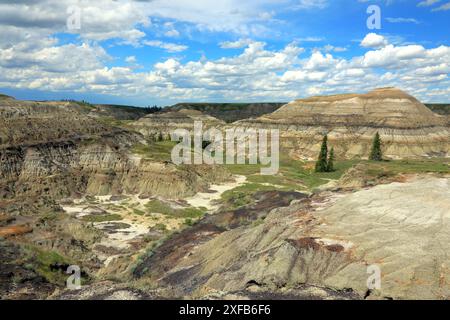 Geografia / viaggi, Canada, Alberta, Drumheller, Badlands in Horseshoe Canyon, ULTERIORI DIRITTI-CLEARANCE-INFO-NON-DISPONIBILI Foto Stock