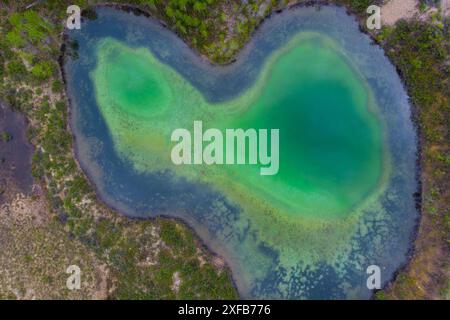 Drone, colpo aereo dall'alto di un lago verde color turchese nel nord del Canada, territorio dello Yukon. Preso in estate Foto Stock