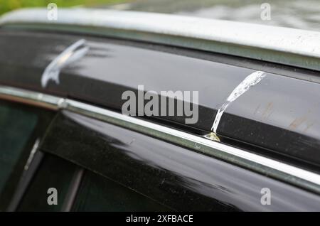 Escrementi di uccelli sulla vernice di un'auto grigia. Concetto di corrosione della vernice, danni, industria Foto Stock