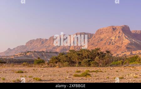 Le scenografiche rocce arancioni del parco nazionale di Ein Gedi (parte del deserto della Giudea), le palme e i cespugli secchi al confine tra Israele e Palestina Foto Stock