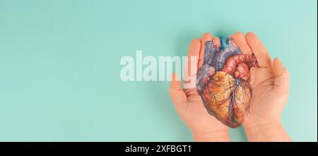 Infarto, malattia della miocardite, infiammazione del muscolo, trombosi e stress cardiaco, mani che tengono l'organo umano Foto Stock