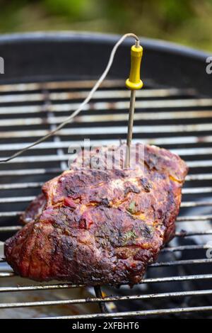 Misurare il calore in una bistecca Foto Stock