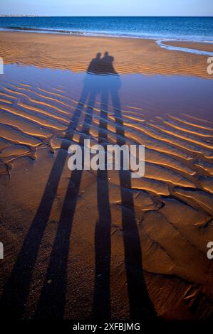 Ombre lunghe di due persone, coppia, increspature di sabbia, linee ondulate nella sabbia, struttura, spiaggia di sabbia, spiaggia di Meia Praia, Lagos, oceano Atlantico, sera Foto Stock