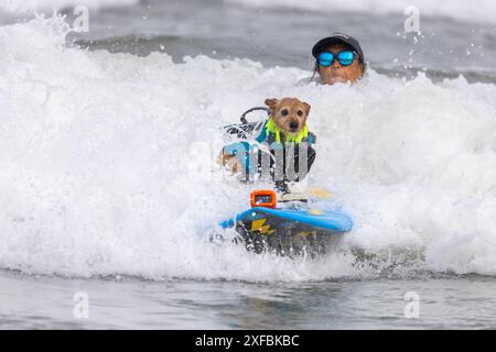 Pacifica, California, USA. 5 agosto 2023. Cattura le onde e sfreccia le code al campionato mondiale di surf con cani del 2023 a pacifica, California. Furr Foto Stock