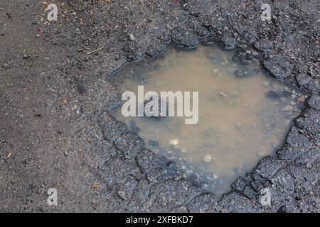 Buche riempite di acqua piovana su fondo stradale bagnato in asfalto nero in primavera, Montreal, Quebec, Canada Foto Stock