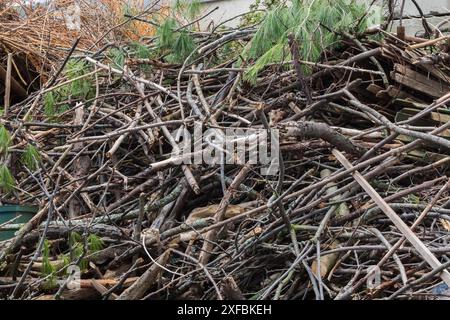 Mucchio di rami di alberi decidui e di conifere tagliati e segati e pezzi di legno in cestino di cemento presso un cantiere di riciclaggio all'aperto, Quebec, Canada Foto Stock