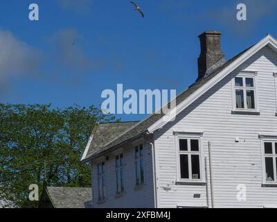 Casa bianca in legno con camino e finestre, un gabbiano vola nel cielo estivo blu, haugesund, norvegia Foto Stock