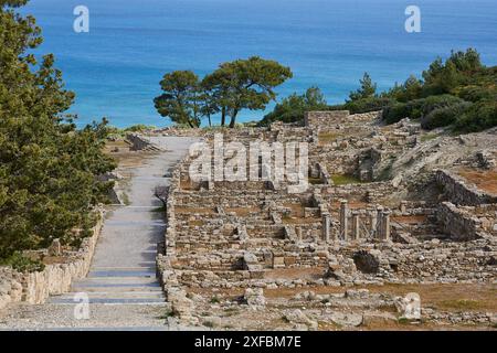 Antiche rovine lungo un sentiero roccioso con alberi e mare sullo sfondo, case ellenistiche, Kamiros, sito archeologico, città antica, fondamento di Foto Stock