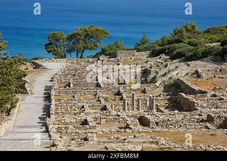 Antiche rovine della città con strutture in pietra e alberi di fronte a uno sfondo marino, case ellenistiche, Kamiros, sito archeologico, città antica Foto Stock