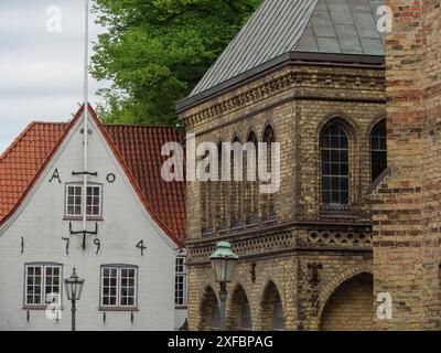Edifici storici con tetti di tegole rosse e una fila di finestre, tipici delle città vecchie, sotto un cielo nuvoloso, flensburg, schleswig-holstein, germania Foto Stock