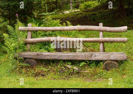 Semplice panchina in legno in campagna, circondata da piante e boschi sullo sfondo, gosau, alpi, austria Foto Stock