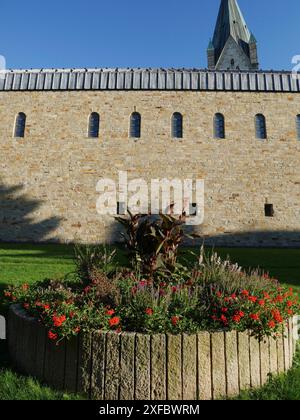 Letto di fiori di fronte a un muro di pietra con finestre e una torre di chiesa sullo sfondo sotto un cielo azzurro, paderborn, Renania settentrionale-Vestfalia Foto Stock