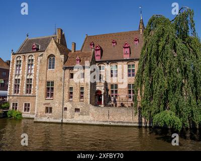 Edifici storici lungo il fiume con accenti rosa e un grande salice, Bruges, Fiandre, Belgio Foto Stock