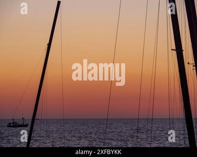 Barca e alberi di fronte a un cielo serale colorato e mare calmo al tramonto, De Haan, Fiandre, Belgio Foto Stock