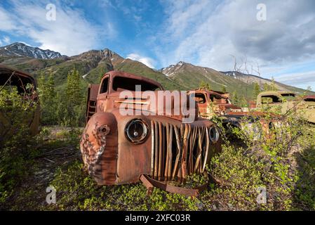 Vecchio camion d'epoca arrugginito, annidato nella natura selvaggia con sfondo montano estivo. Preso nel territorio dello Yukon, Canada Foto Stock