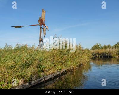 Un vecchio mulino arrugginito sorge sulle rive di un tranquillo canale, circondato da alte canne sotto un cielo azzurro, Giethoorn, Paesi Bassi Foto Stock