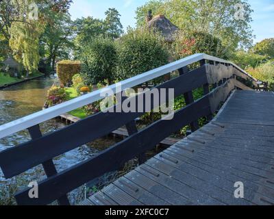 Vista da un ponte di legno su un canale con giardini, case e tanta vegetazione al sole, giethoorn, paesi bassi Foto Stock