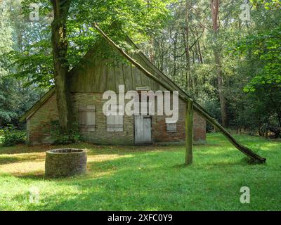 Vecchio capannone abbandonato in mezzo alla foresta alla luce del giorno, circondato da alberi e erba, un pozzo si trova di fronte, haaksbergen, paesi bassi Foto Stock