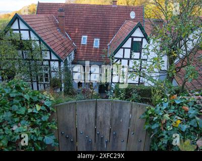 Cancello in legno in un giardino coperto di edera, con case a graticcio sullo sfondo, ibbenbueren, Renania settentrionale-Vestfalia, germania Foto Stock