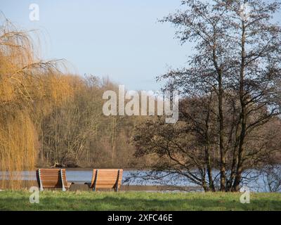 Due panchine in legno del parco sulla riva di un fiume, circondate da alberi e un salice sospeso, borken, germania Foto Stock