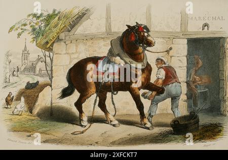 Il cavallo da tiro. Disegno di Edouard Traviès. Incisione a mano di Beyer. Cromolitografia. "Los Héroes y las Grandezas de la Tierra" (gli eroi e i magnifici della Terra). Volume VIII. 1856. Foto Stock