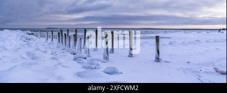 Costa innevata del Golfo di Finlandia, Estonia Foto Stock