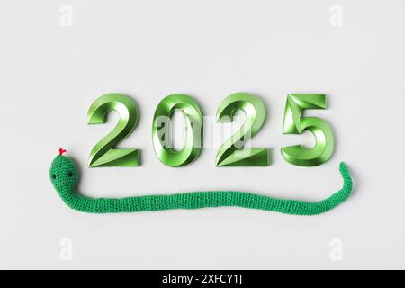 Giocattolo a maglia con serpente verde e numeri verdi. Il simbolo dell'anno 2025 su sfondo grigio. Foto Stock