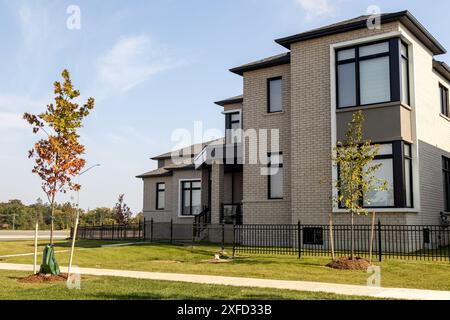 Luminoso giorno d'autunno - case di periferia dal design moderno - giovani alberi con foglie che cambiano - cielo azzurro. Presa a Toronto, Canada. Foto Stock