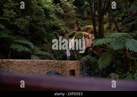 CALDEIRA Velha. Le sorgenti termali più famose di Sao Miguel si trovano a Ribeira grande. Isola di Sao Miguel, Azzorre. Foto Stock