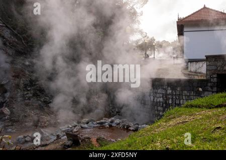 Fumarole nelle sorgenti termali di Furnas (Caldeiras das Furnas). Furnas, isola di Sao Miguel, Azzorre, Portogallo Foto Stock