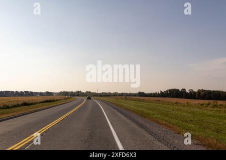 Strada aperta davanti a noi, sole brillante, auto che viaggia lontano, lussureggiante vegetazione laterale. Presa a Toronto, Canada. Foto Stock