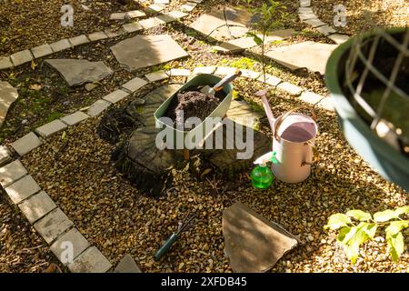 Attrezzi da giardinaggio e terreno nella carriola sul ceppo di alberi nel giardino sul retro, spazio di copia Foto Stock