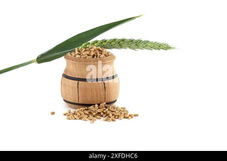 Primo piano di una botte di legno riempita di grano, posizionata accanto alle orecchie di grano isolate su uno sfondo bianco. Perfetto per l'agricoltura e il cibo Foto Stock